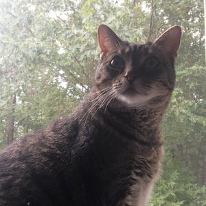 Meet your Posher, Elizabeth